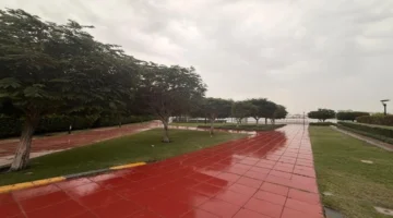 أمطار متوسطة إلى غزيرة تتساقط على مختلف مناطق الدولة